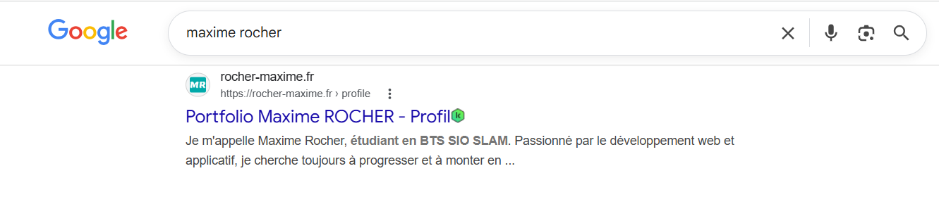 Capture d’écran de l’indexation du site sur Google