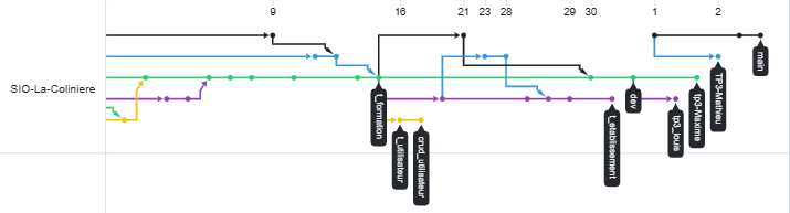 Insight network branches